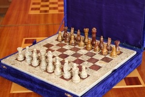Шахматы Агеева